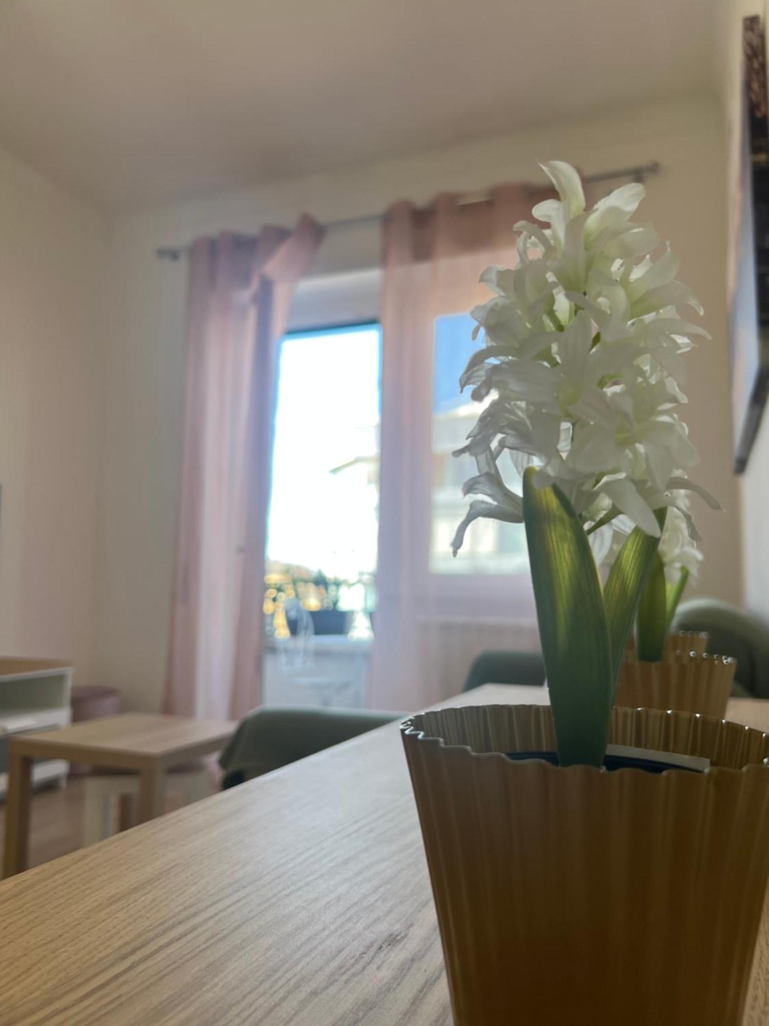 Cafe Portonaccio Appartement